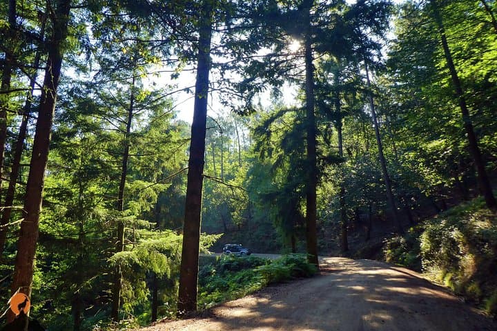 Serra da Lousã Schist Villages Hike — 18 km through Forests, Waterfalls & Stone Hamlets photo 6