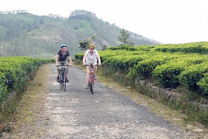 Ella Cycling Tour: 9-Arch Bridge, Demodara Loop & Scenic Train Ride photo 4