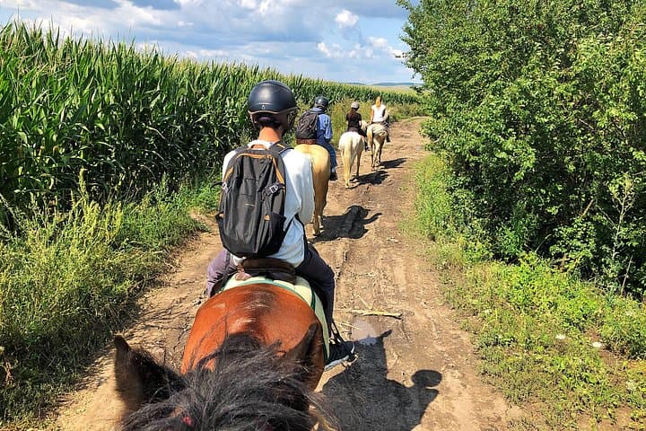 Transylvania Horseback Riding Tour: Brasov Fields, Forests & Fortified Church photo 1