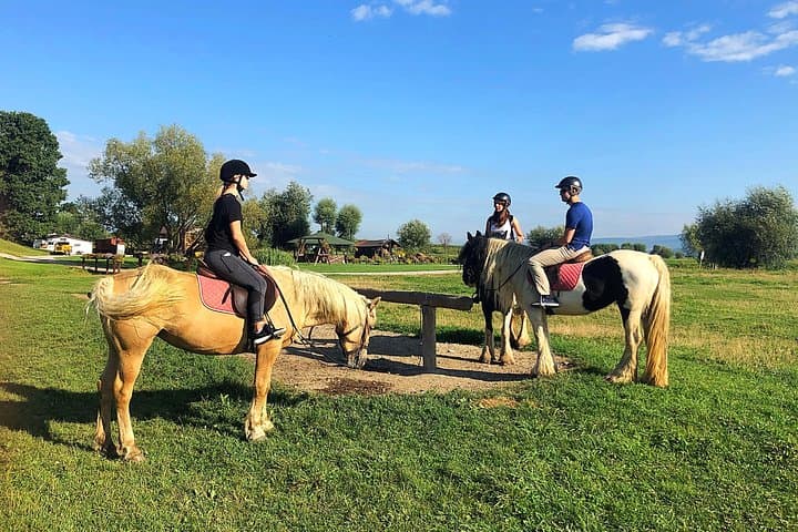 Transylvania Horseback Riding Tour: Brasov Fields, Forests & Fortified Church photo 2