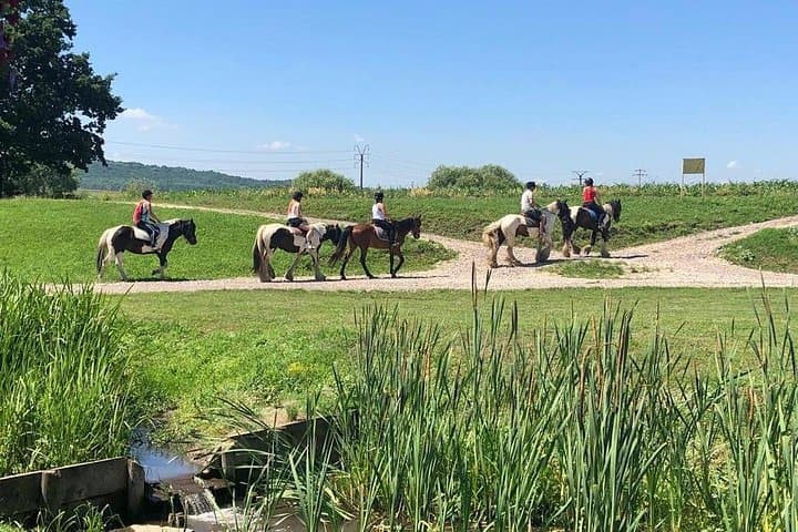 Transylvania Horseback Riding Tour: Brasov Fields, Forests & Fortified Church photo 3