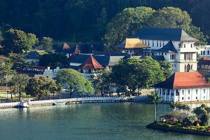 Day Trip from Kandy to Nuwara Eliya: Tea Plantations, Botanical Gardens & Highland Views photo 1