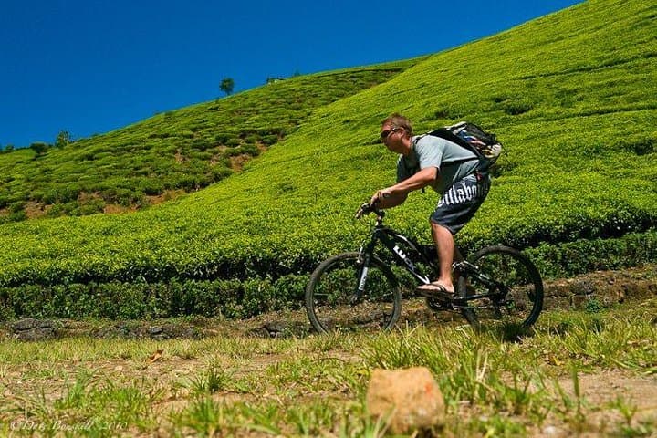 Ella Cycling Tour: 9-Arch Bridge, Demodara Loop & Scenic Train Ride photo 2