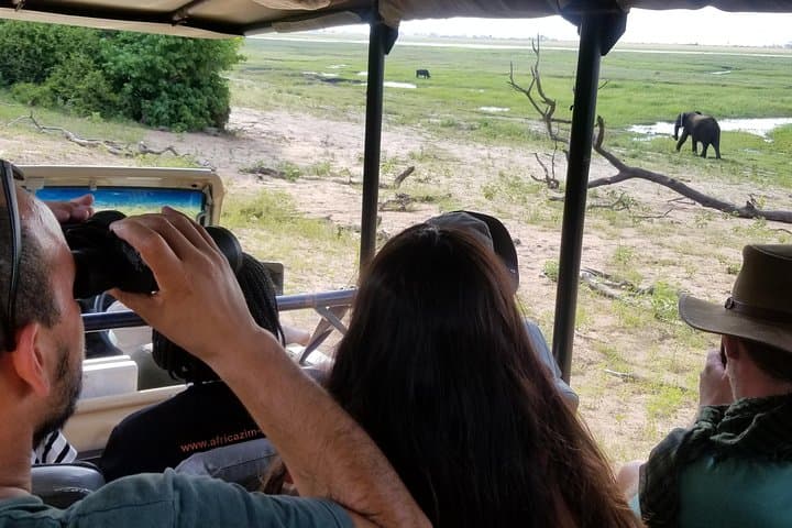 Chobe Day Trip from Victoria Falls — Chobe River Boat Cruise & Game Drive photo 5