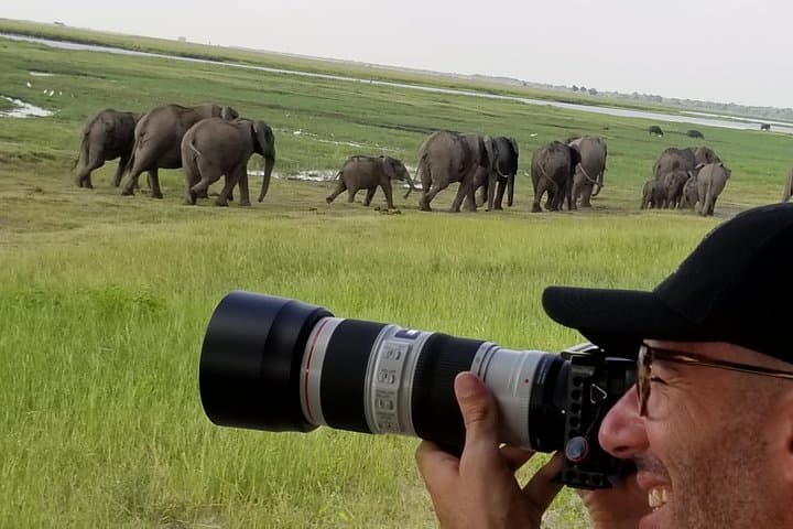 Chobe Day Trip from Victoria Falls — Chobe River Boat Cruise & Game Drive photo 6
