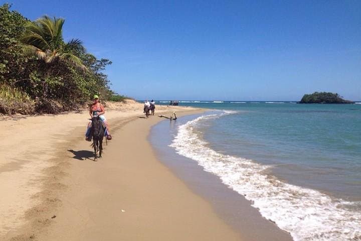 Sunset Beach Horseback Ride in Puerto Plata — Gallop into Caribbean Dusk photo 3