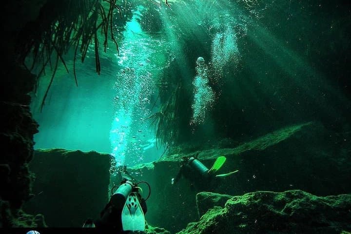 Introductory Scuba at Casa Cenote: Beginner Dives in Tulum’s Mangrove Cenote photo 3