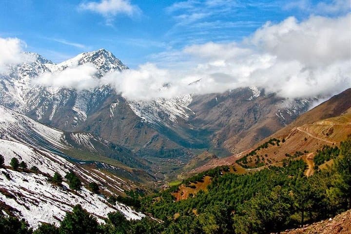 Fez to Middle Atlas Day Trip: Berber Villages, Cedar Forests & Barbary Apes photo 4