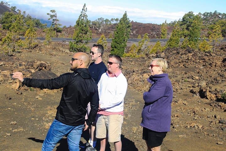 Mount Teide & Teno Country Park Private Tour: Volcano Views, Pine Forests and Teno Massif photo 5