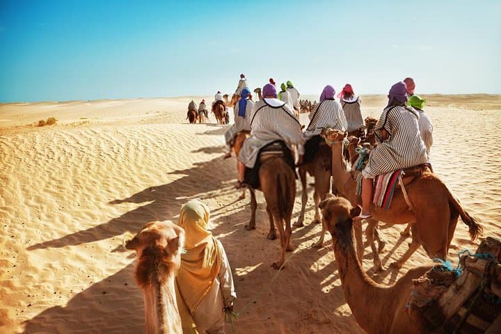 Morning Desert Safari: Dune-Bashing, Sand-Boarding & Camel Rides from Dubai photo 5