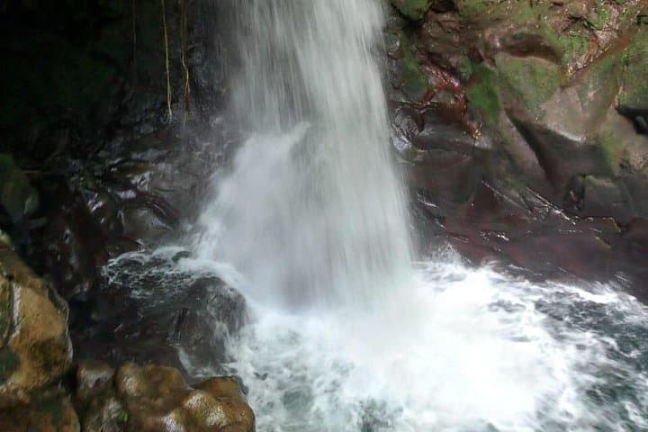 Guanacaste Waterfalls Tour: Llano de Cortez, Oropendola & Poza Los Coyotes photo 4