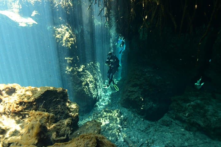 Dos Ojos Cenote: 2-Tank Certified Dive Adventure from Tulum photo 5