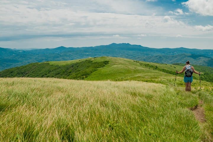 Asheville Waterfalls and Blue Ridge Parkway Private Naturalist Tour photo 5