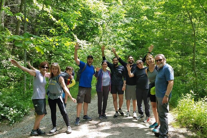 Asheville Waterfalls and Blue Ridge Parkway Private Naturalist Tour photo 6