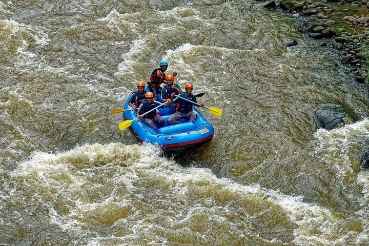 Ayung River Rafting and Ubud Monkey Forest: A Day of Rapids, Coffee, and Culture photo 1