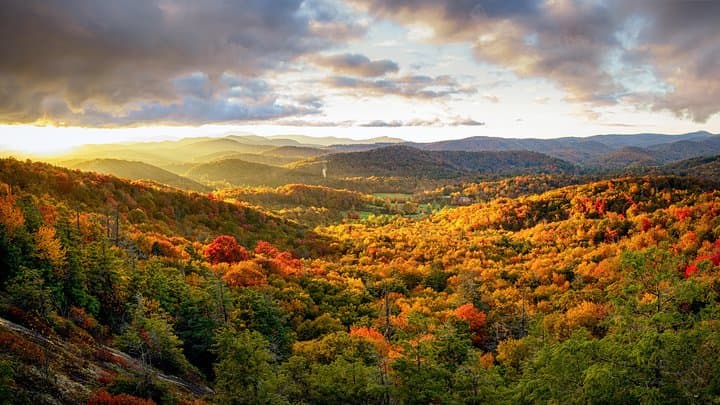 Asheville Waterfalls and Blue Ridge Parkway Private Naturalist Tour