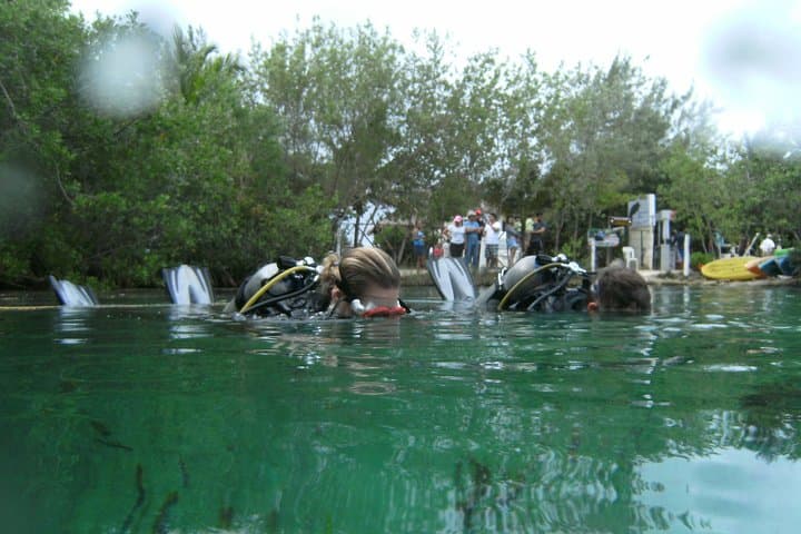 Discover Scuba Diving in Tulum: First Cenote Dive in a Mangrove Lagoon photo 4