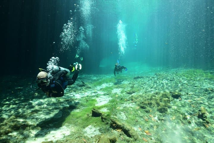 Discover Scuba Diving in Tulum: First Cenote Dive in a Mangrove Lagoon