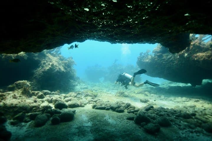 Discover Scuba Diving in Tulum: First Cenote Dive in a Mangrove Lagoon photo 5