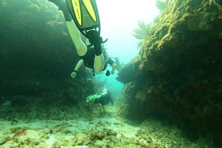 Discover Scuba Diving in Tulum: First Cenote Dive in a Mangrove Lagoon photo 6