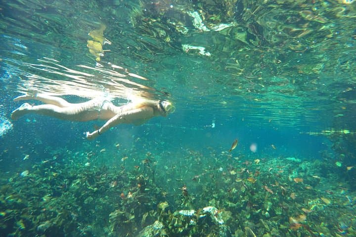 Tulum Snorkeling Adventure: Reef Bay & Saac Actun Cenote Tour photo 4