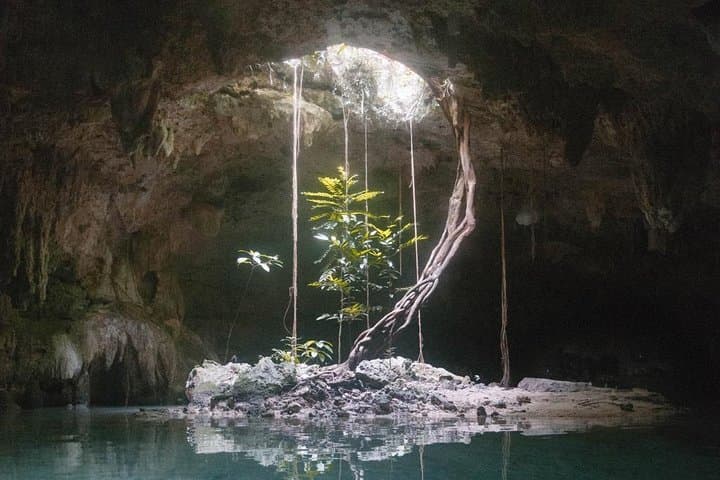 Tulum Snorkeling Adventure: Reef Bay & Saac Actun Cenote Tour photo 5