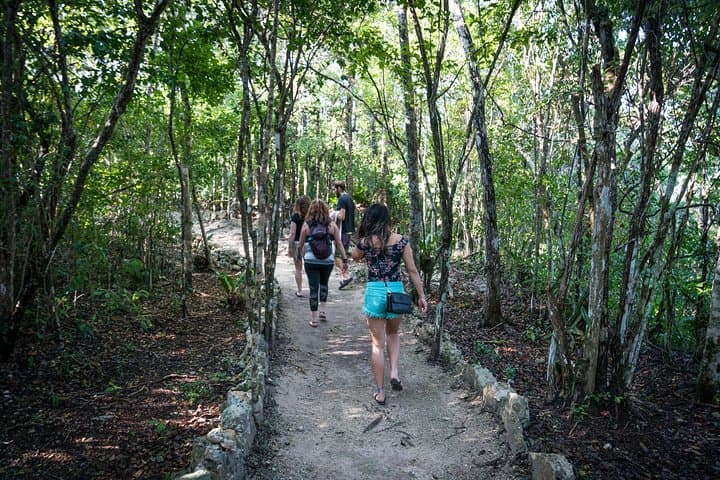 Tankah Park Five Cenotes Adventure Tour from Tulum — Snorkel, Zipline & Cliff Jump photo 6