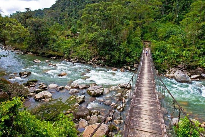 Full-Day Jungle, Canyon & Cavern Tour Near Puyo, Ecuador photo 4