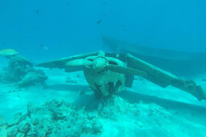Small-Group Snorkeling at The Aquarium Wrecks — Tahiti Lagoon Tour photo 1