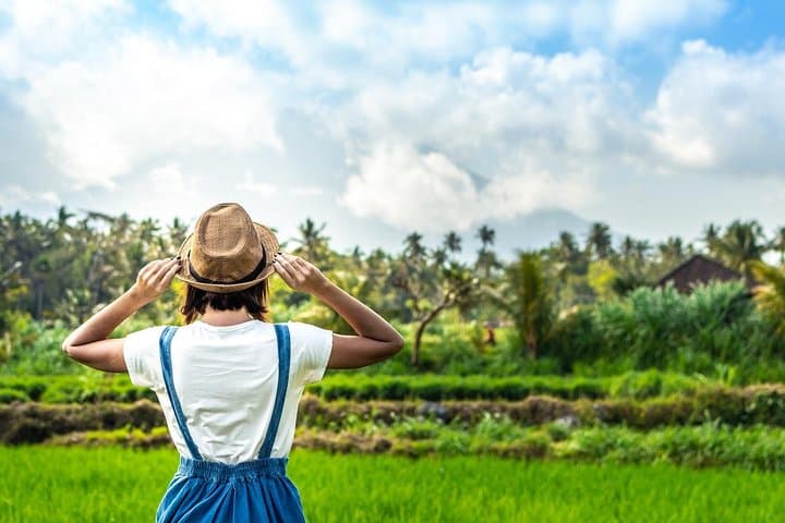 Ultimate Ubud Day Tour: Tegalalang Rice Terraces, Coffee & Sacred Monkey Forest photo 2