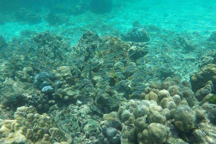 Phi Phi Islands One-Day Speedboat Tour from Phuket — Maya Bay, Snorkeling & Island Hopping photo 6