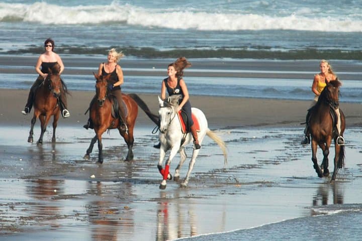 Horseback Ride on Bali's Black Sand Beach: Ubud to Blangsinga Day Tour