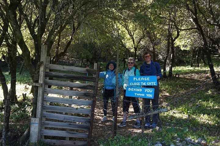 Hike Profitis Ilias Mountain: Rhodes Summit Trail to Elafos & Elafina Hotels photo 2