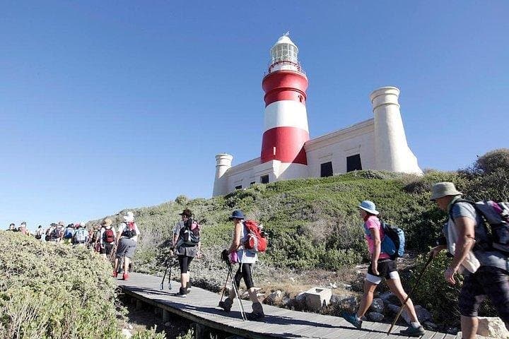 Cape Agulhas Lighthouse Day Trip from Cape Town — Southernmost Point Tour photo 5