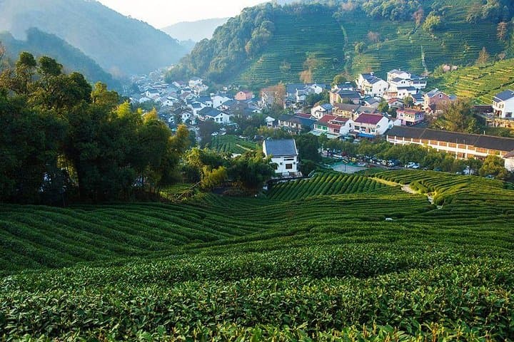 2-Day Suzhou & Hangzhou Private Bullet Train Tour from Shanghai photo 2
