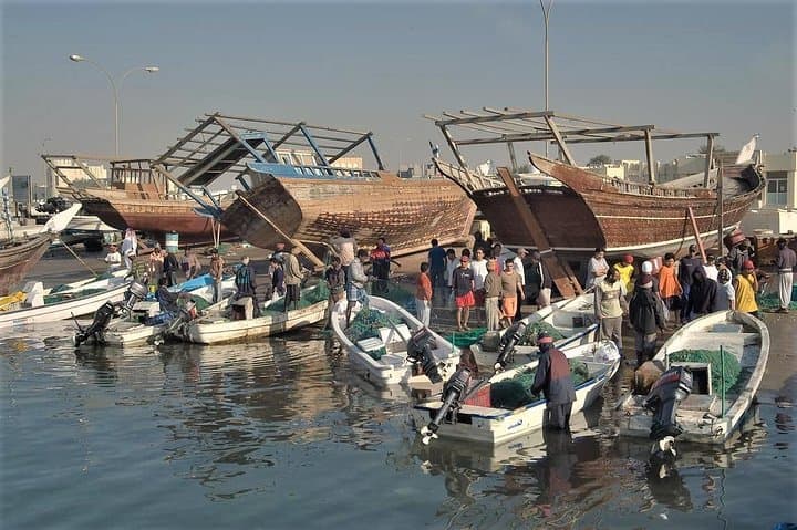 North Qatar Heritage & Desert Safari — Al Zubarah, Zekreet & the Inland Sea Combo photo 4