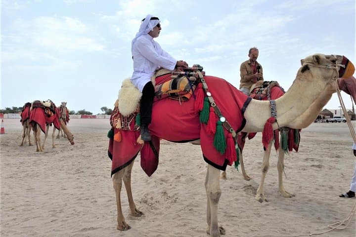 North Qatar Heritage & Desert Safari — Al Zubarah, Zekreet & the Inland Sea Combo photo 5
