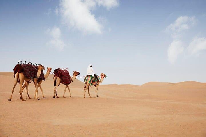 Evening Abu Dhabi Desert Safari & BBQ Dinner — Al Khatim Dune Bashing & Stargazing photo 3