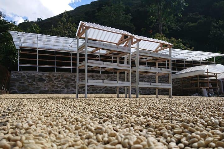 Extreme Canyoning and Coffee Experience in Santa Teresa, Peru photo 6