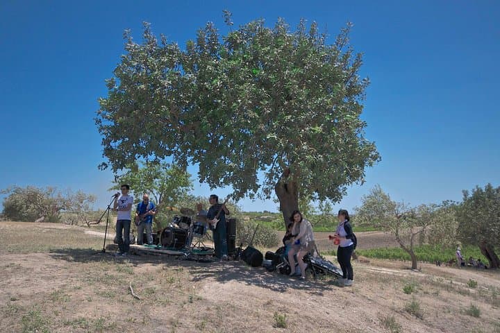 Etna Wine and Food Volcanic Weekend Immersion — Private Sicily Wine Tour photo 4