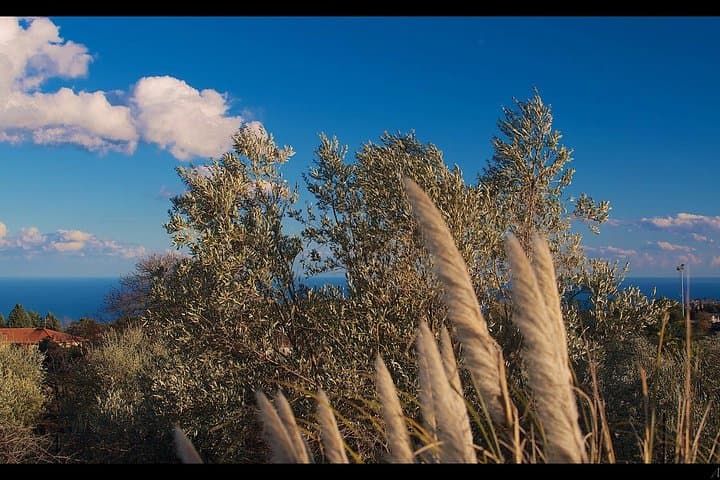 Volcanic Yoga on Mt Etna: A 3-Day Meditation Weekend Amid Lava Woods photo 2