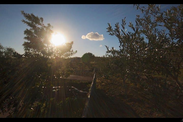 Volcanic Yoga on Mt Etna: A 3-Day Meditation Weekend Amid Lava Woods photo 3