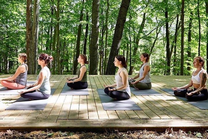 Volcanic Yoga on Mt Etna: A 3-Day Meditation Weekend Amid Lava Woods
