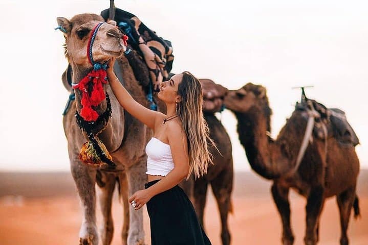 Sunset Camel Ride in Marrakech Palmeraie — Mint Tea & Atlas Views photo 2