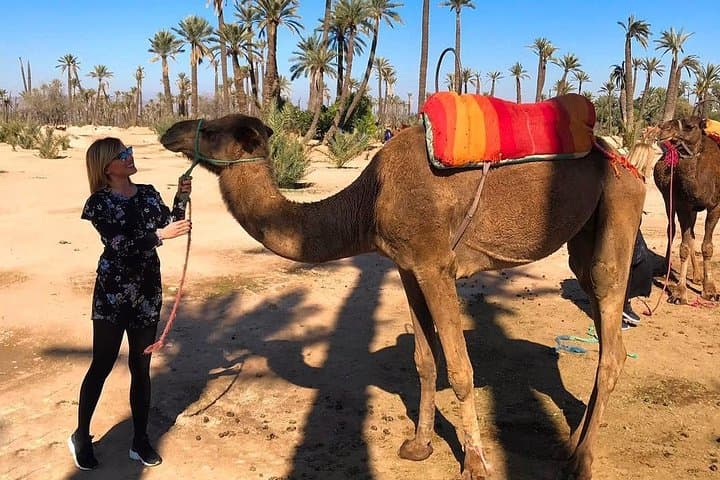 Sunset Camel Ride in Marrakech Palmeraie — Mint Tea & Atlas Views photo 3