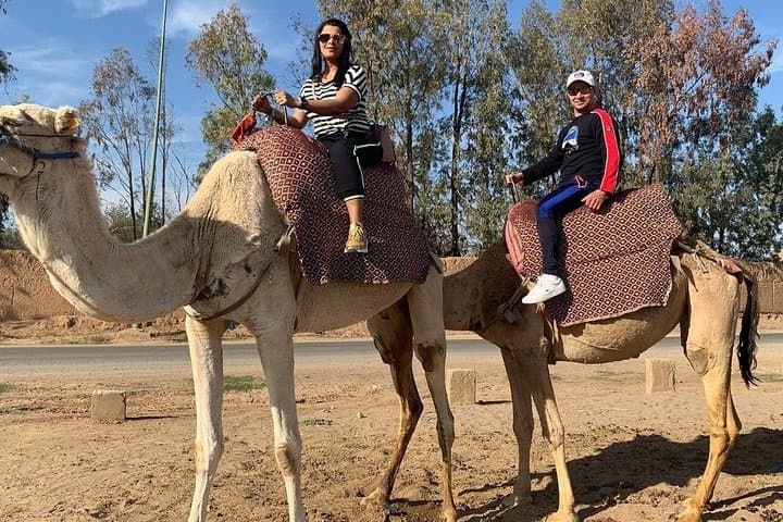 Sunset Camel Ride in Marrakech Palmeraie — Mint Tea & Atlas Views photo 4
