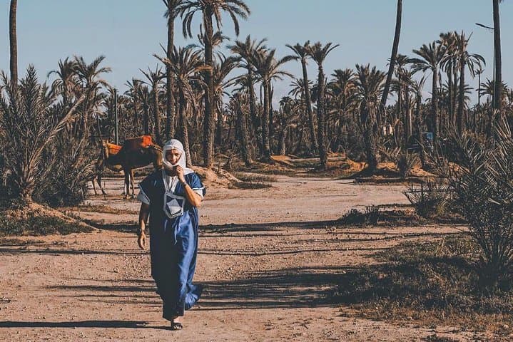 Sunset Camel Ride in Marrakech Palmeraie — Mint Tea & Atlas Views photo 6