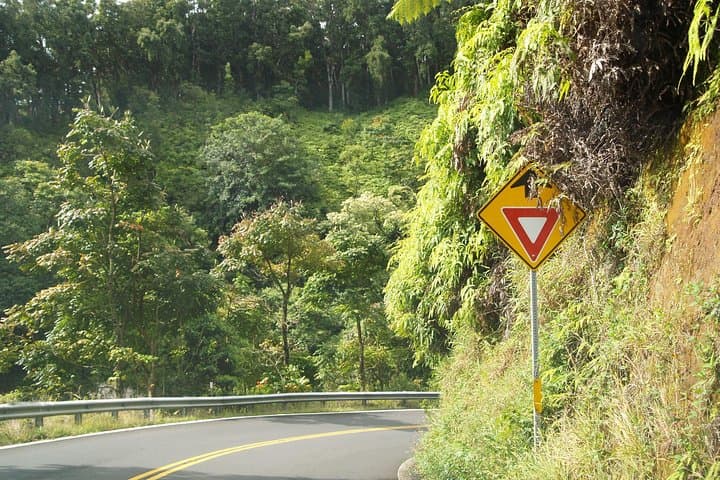 Road to Hāna Shore Excursion: A Cruise-Day Journey Along Maui’s Wild Coast photo 3