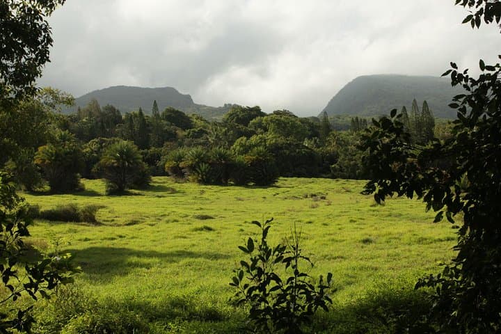 Road to Hāna Shore Excursion: A Cruise-Day Journey Along Maui’s Wild Coast photo 4