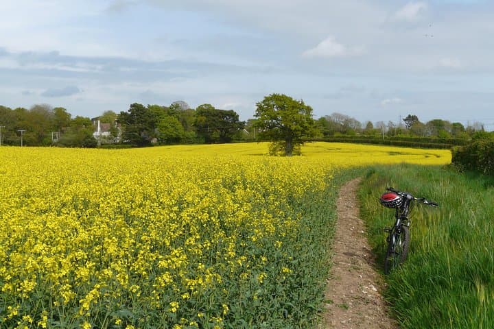 Cycle and Climb: Khajuraho to Teeth Mountain (Datla Pahad) Day Tour photo 5